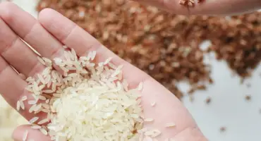 Basmati rice